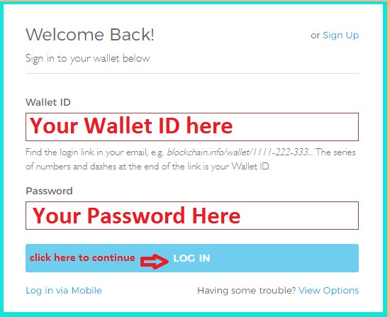 blockchain login issues